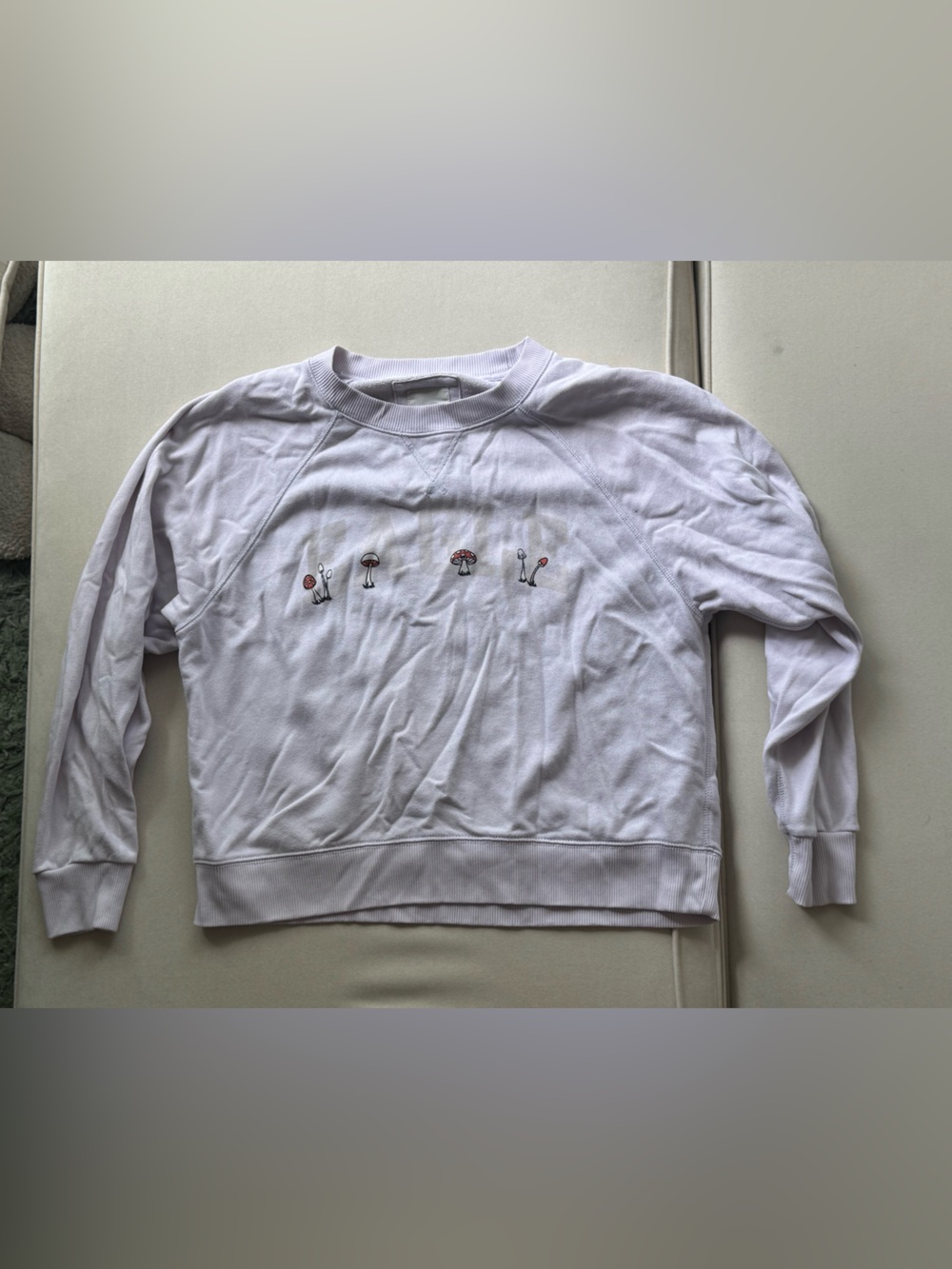American Eagle Outfitters Light Purple Sweatshirt